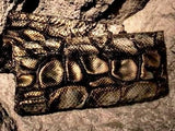 Dragon Clutch <I>Emerald</I>-Tribe of Two