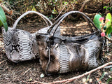 Urban Safari - Urban Safari  <I>Gold Indio</I>