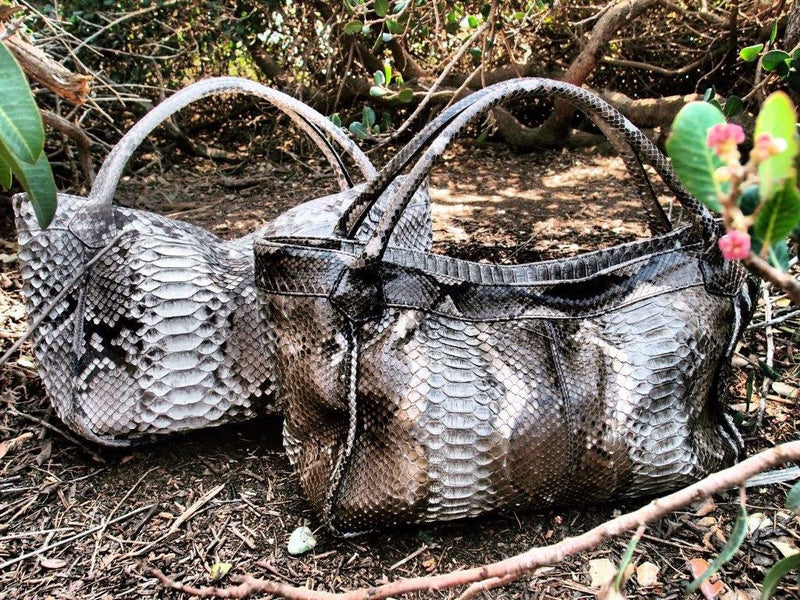 Urban Safari - Urban Safari  <I>Gold Indio</I>