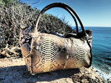 Urban Safari - Urban Safari  <I>River Rock Polished</I>