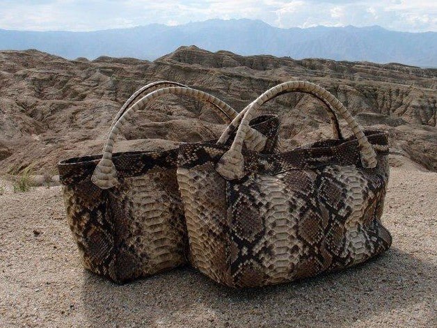 Urban Safari - Urban Safari  <I>River Rock Polished</I>